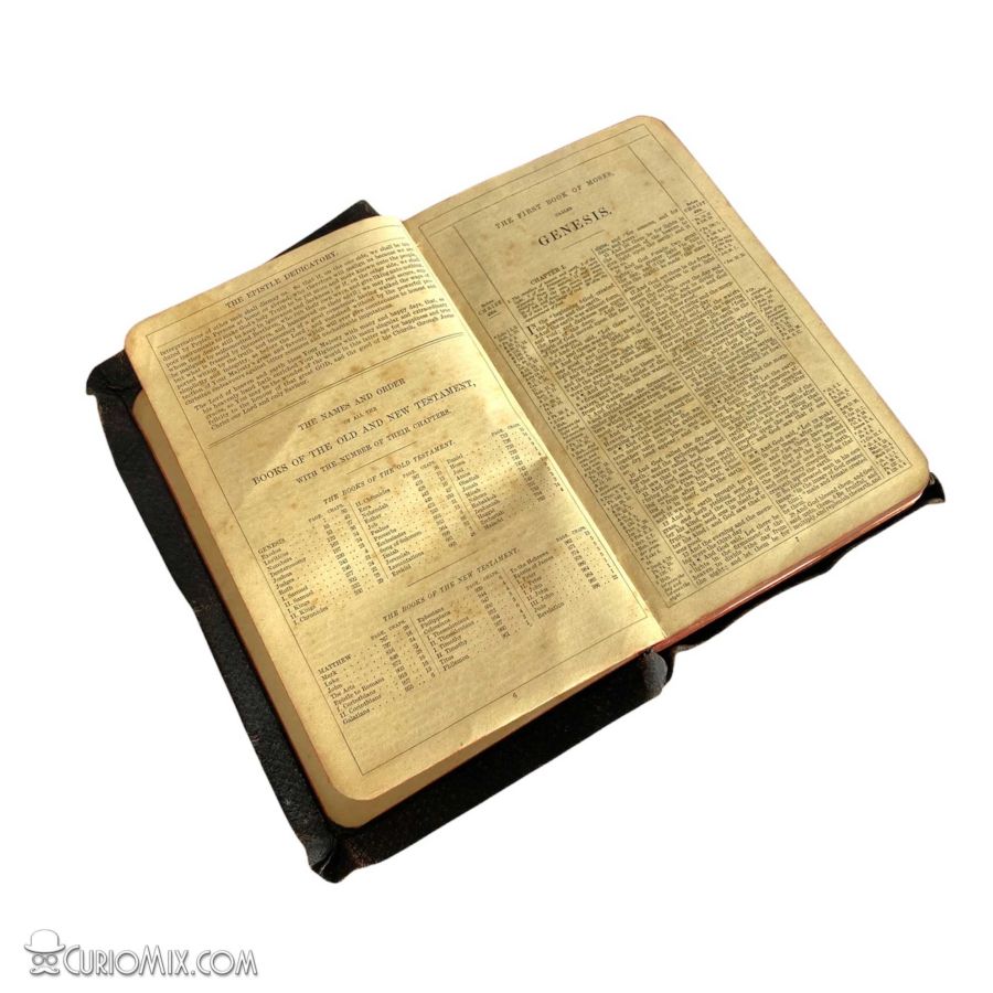 Bible 1910 - Image 5