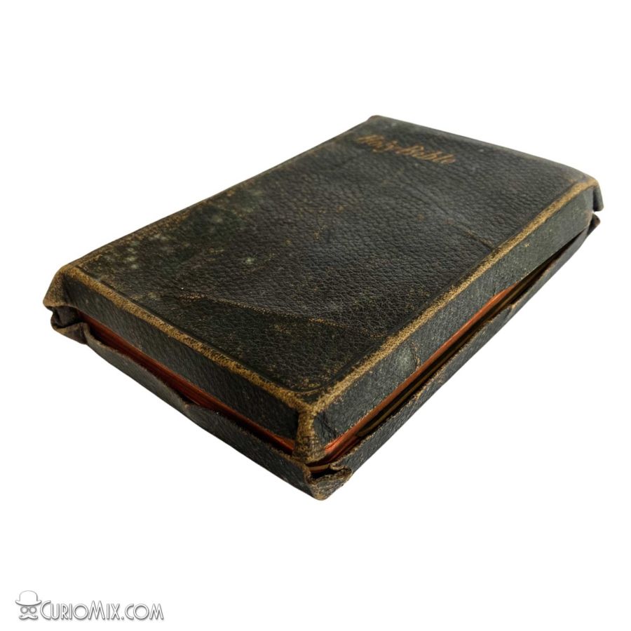 Bible 1910 - Image 4