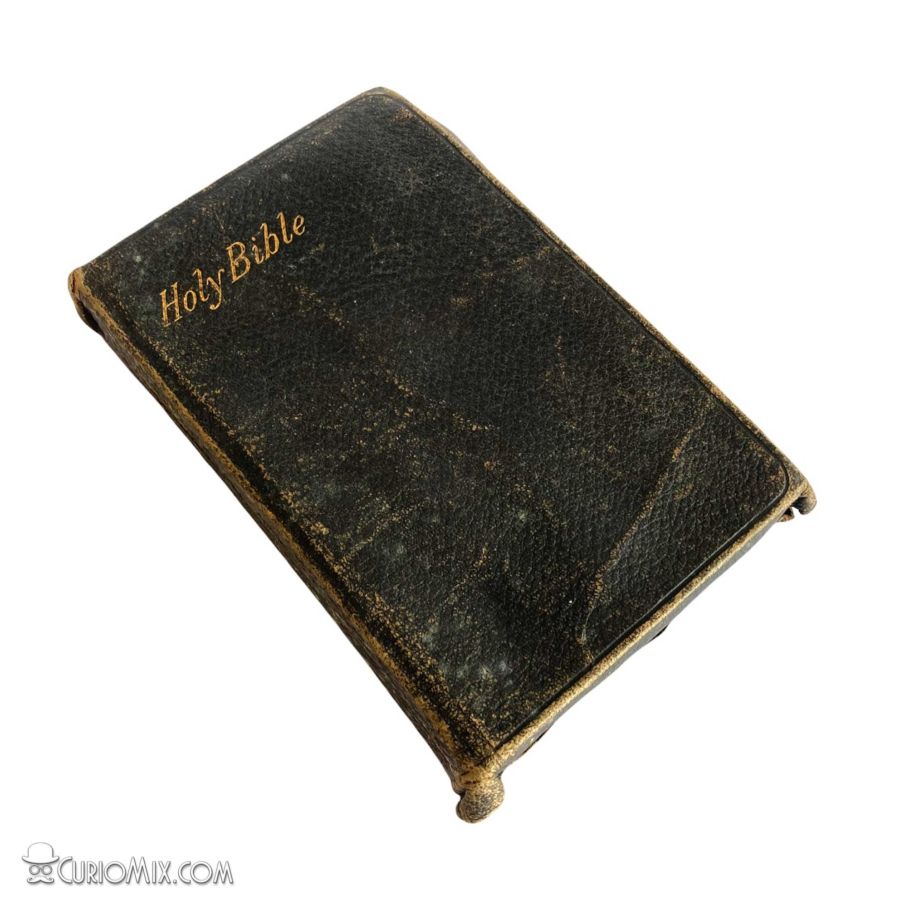 Bible 1910 - Image 3