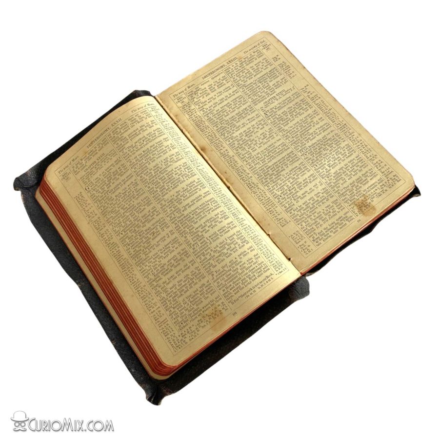 Bible 1910 - Image 6
