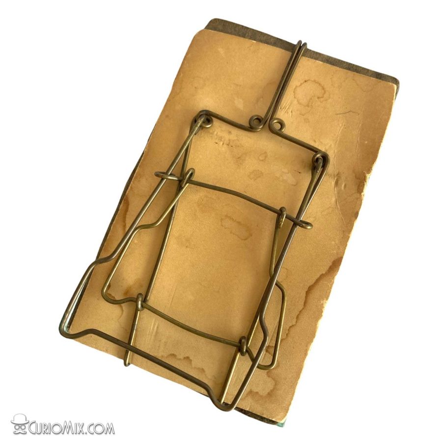 Glass Frame - Image 5