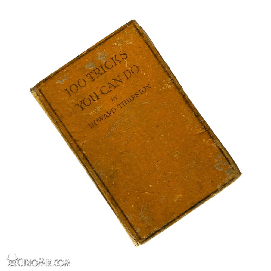 Book - 100 Tricks You Can Do