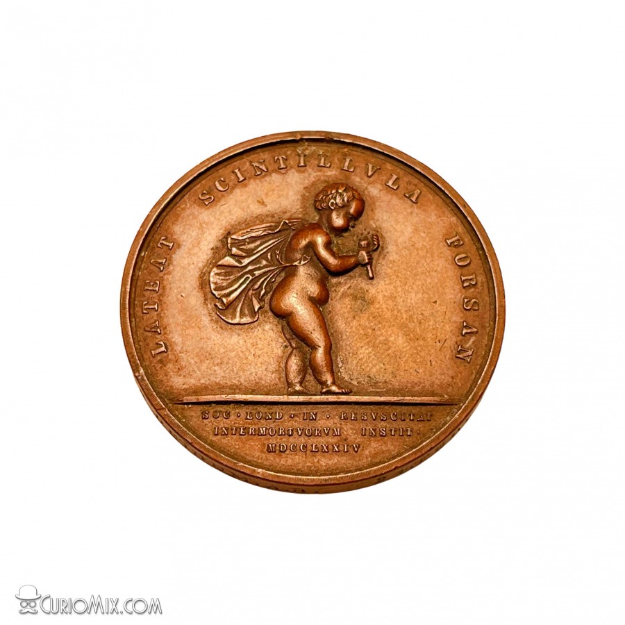 Royal Humane Society Medal 1870